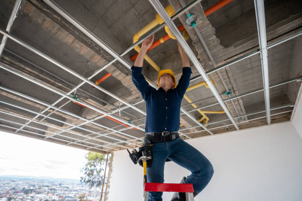 Best Local Plumber Services  in Port Angeles, WA